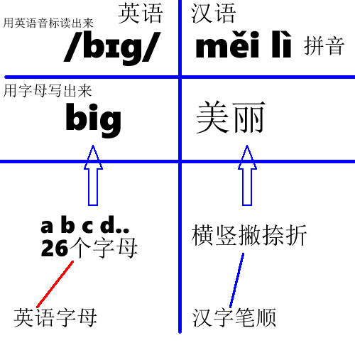 中英文“拼讀拼寫”的區別