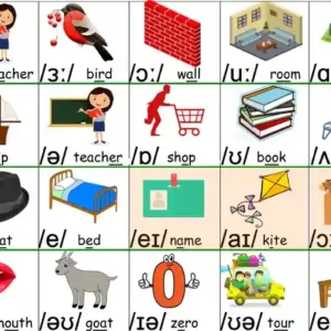 48个英语音标海报-形意图-正音单词 A4 PDF 支持定制